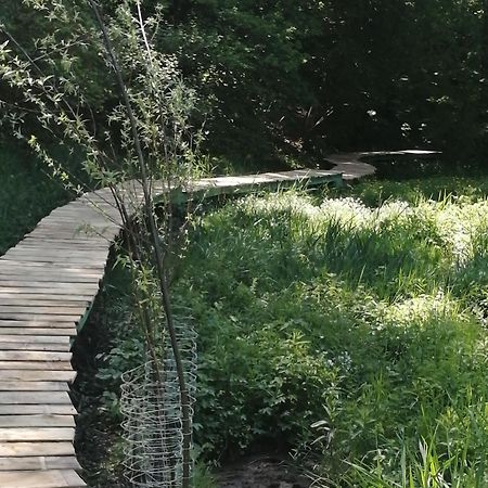 Gite Dix-Huit Les Hayons Esterno foto